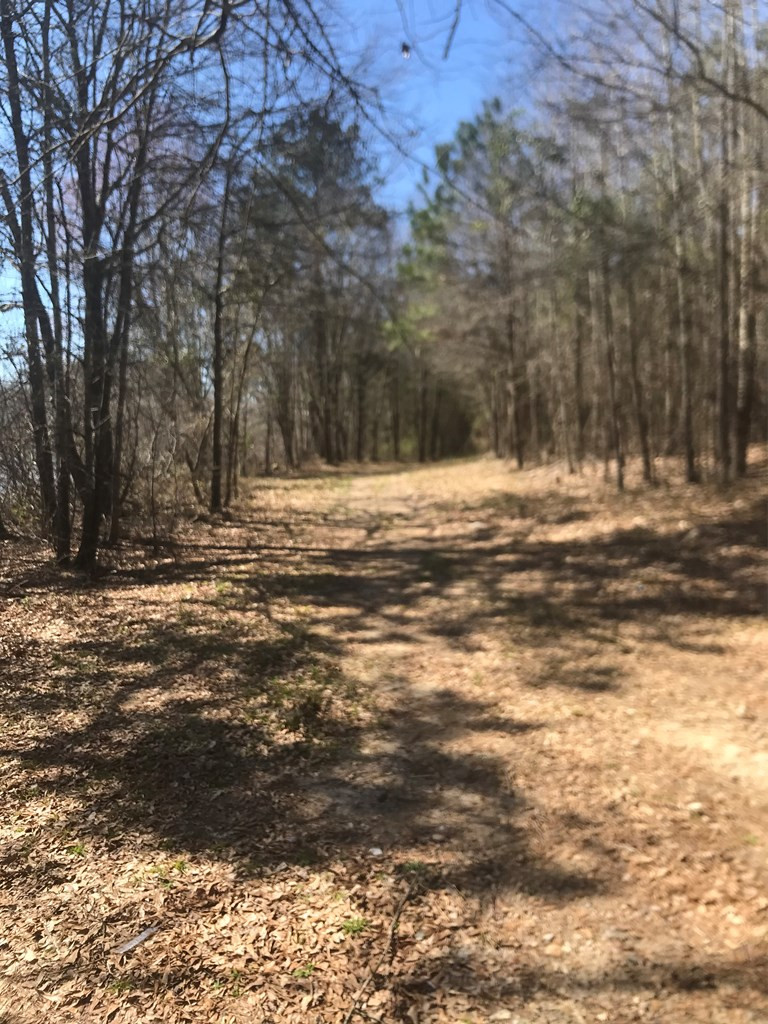 0 Lanier Road Johnston, SC 29832 - Photo 2 of 5