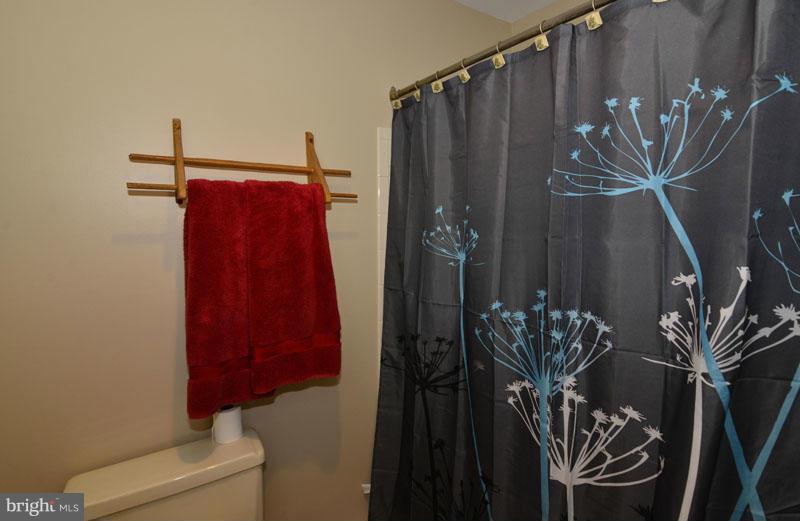 2214 Golf Course Drive Reston, VA 20191 - Photo 14 of 27 a bathroom with a shower curtain and a potted plant