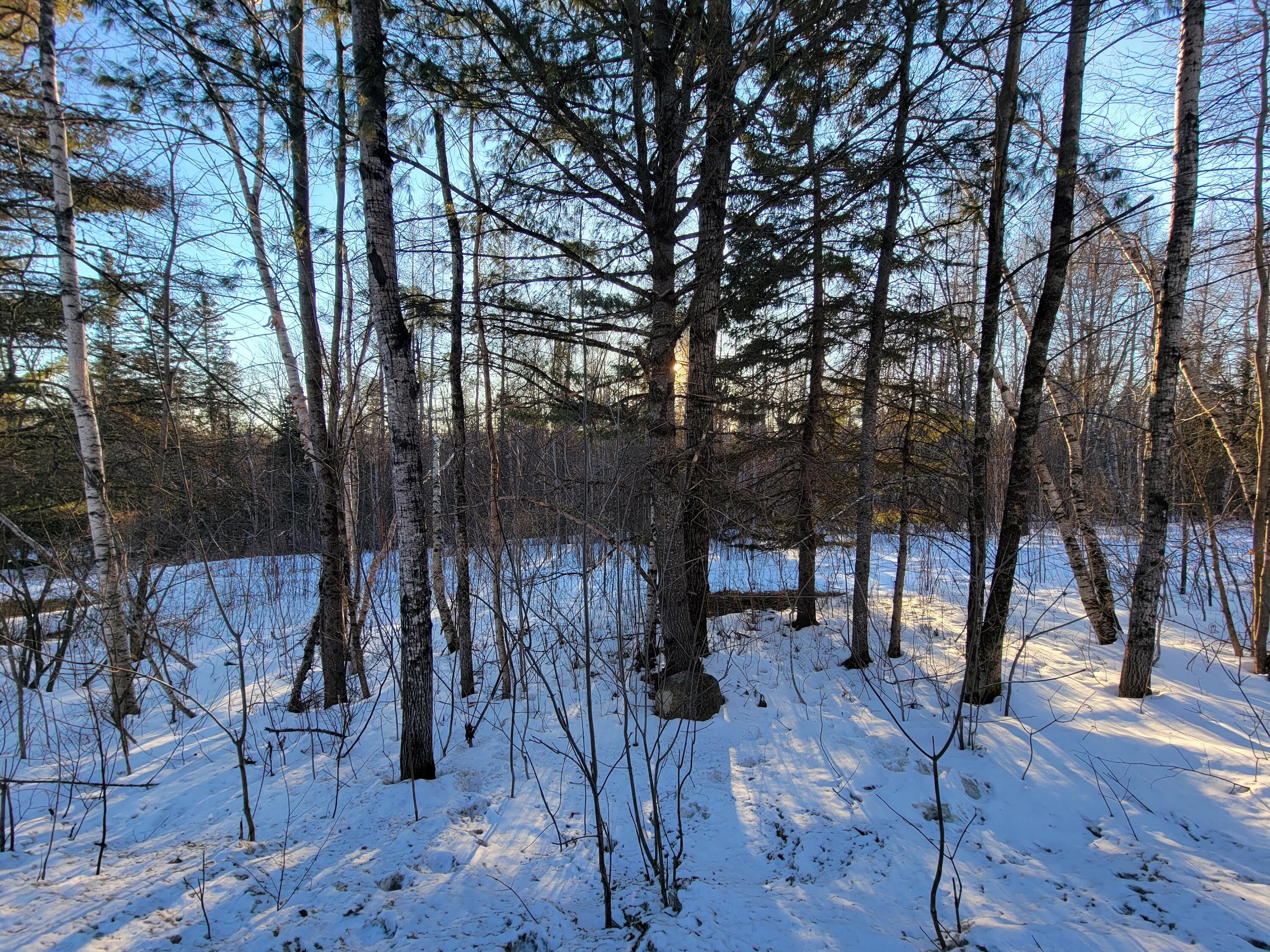 Lot 26-1 Map 4 Billington Road Milo, ME 04463 - Photo 15 of 20 20240219_161056
