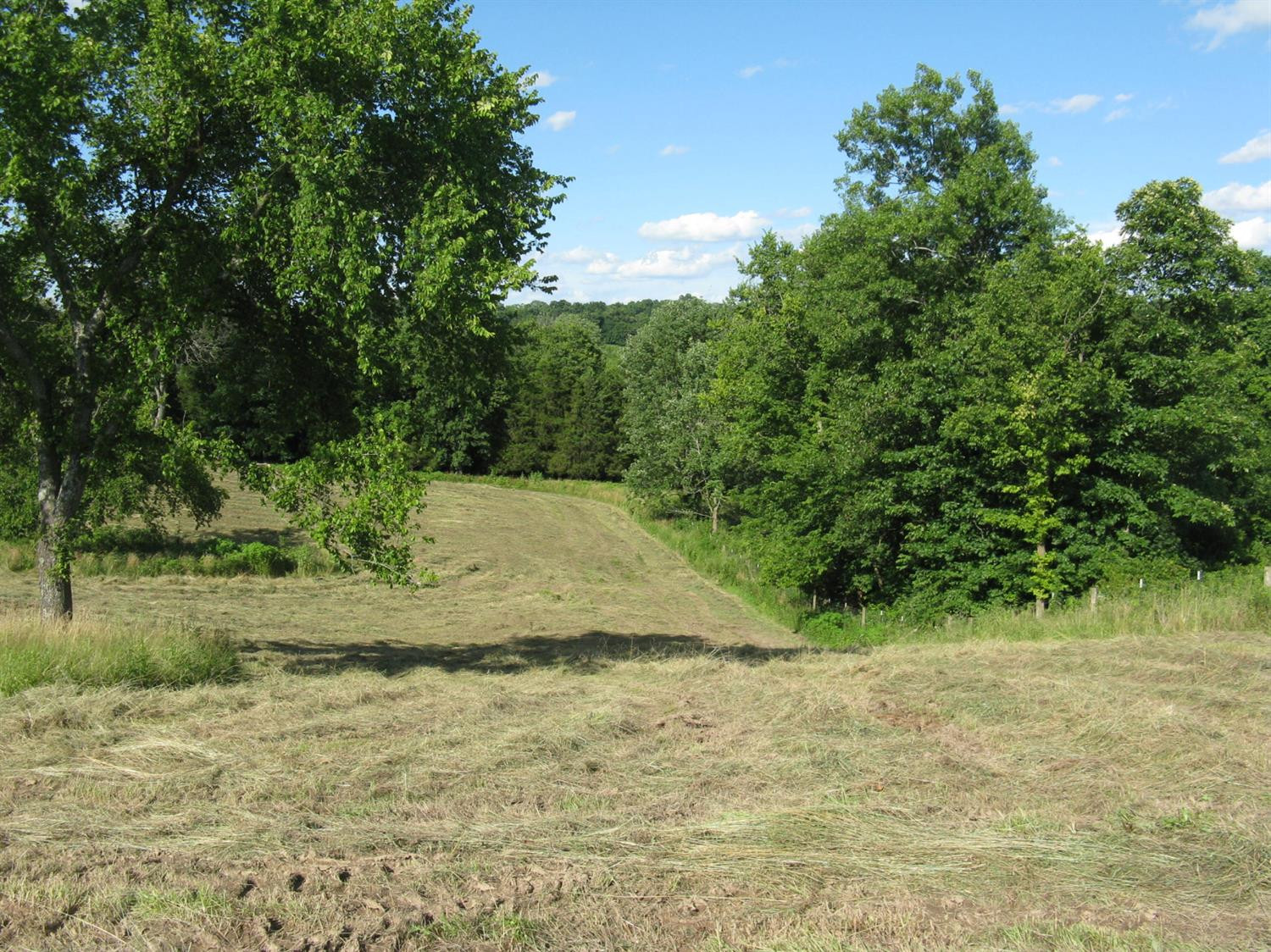 999 Goshen Church Road Stanford, KY 40484 - Photo 6 of 20 Listing Photo