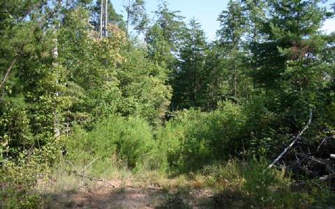 Lot 5 Hendrix Road Murphy, NC 28906 - Photo 1 of 1 Main View