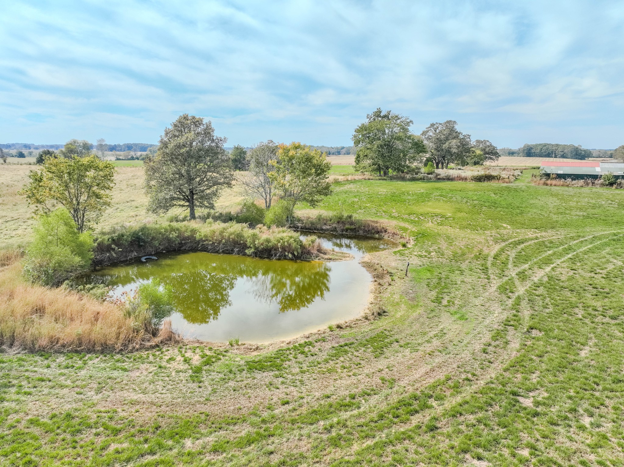 97 Ramah Road Leoma, TN 38468 - Photo 26 of 43 a view of a lake with a yard