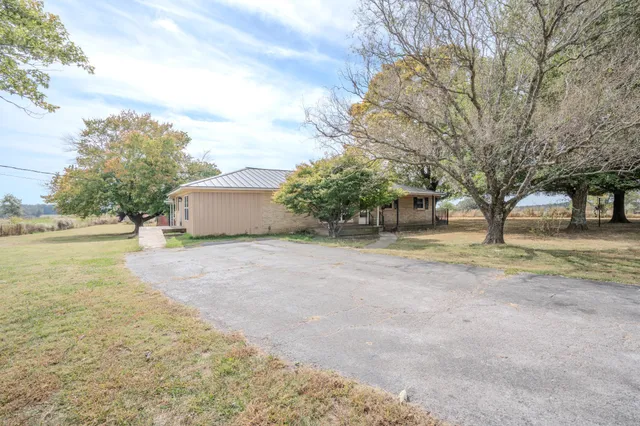 a view of a yard with tree s