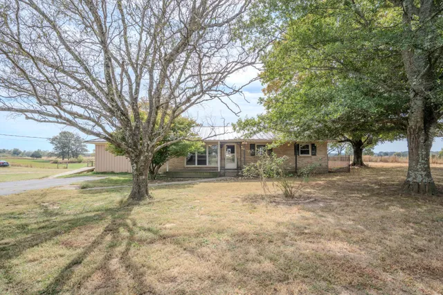 a view of a yard with a tree