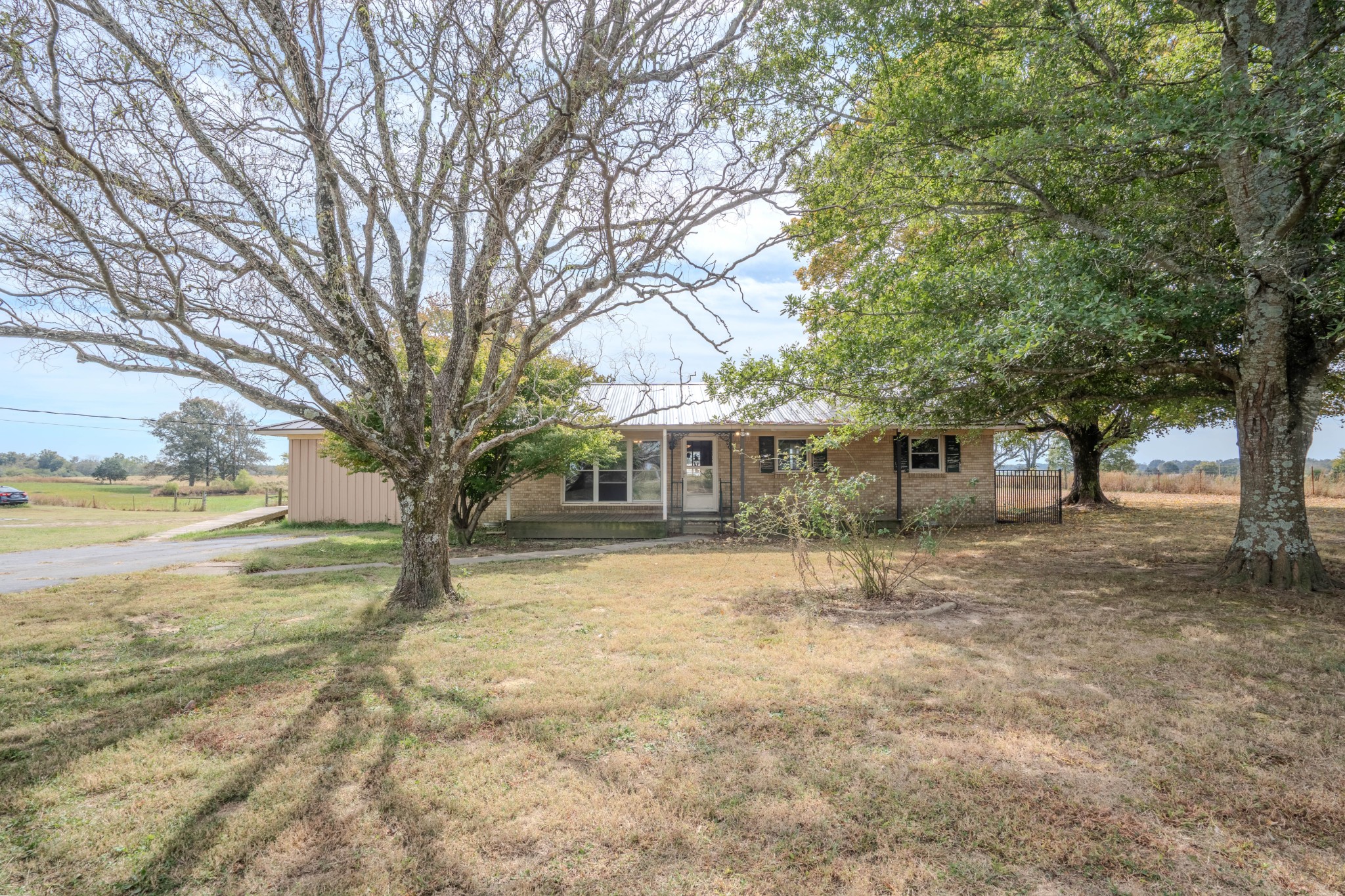 97 Ramah Road Leoma, TN 38468 - Photo 4 of 43 a view of a yard with a tree