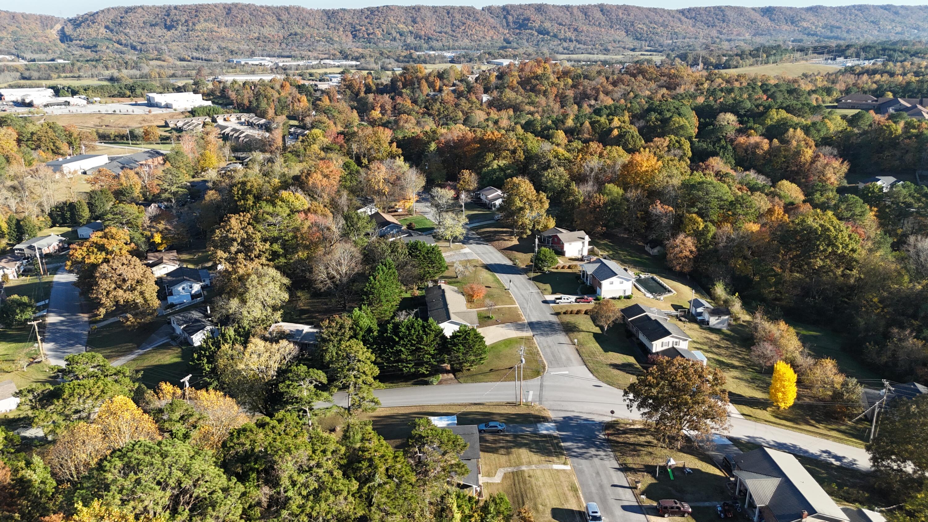 134 Bryson Circle Ringgold, GA 30736 - Photo 36 of 49 DJI_20251106155004_0026_D