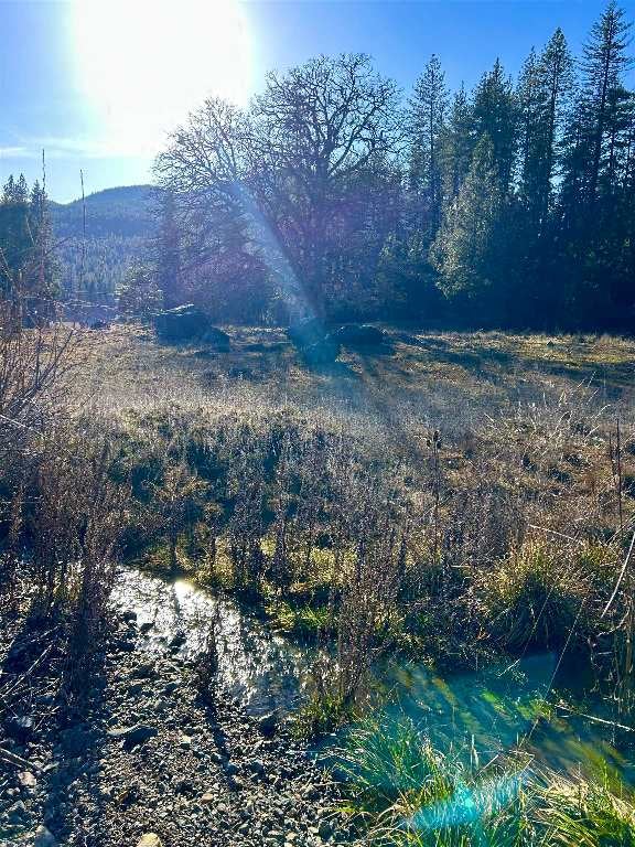 Meamber Creek Road Fort Jones, CA 96032 - Photo 4 of 14 Gallery Image 4