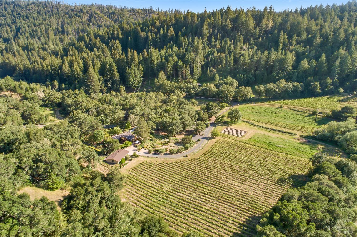 22200 Puccioni Road Healdsburg, CA 95448 - Photo 61 of 63