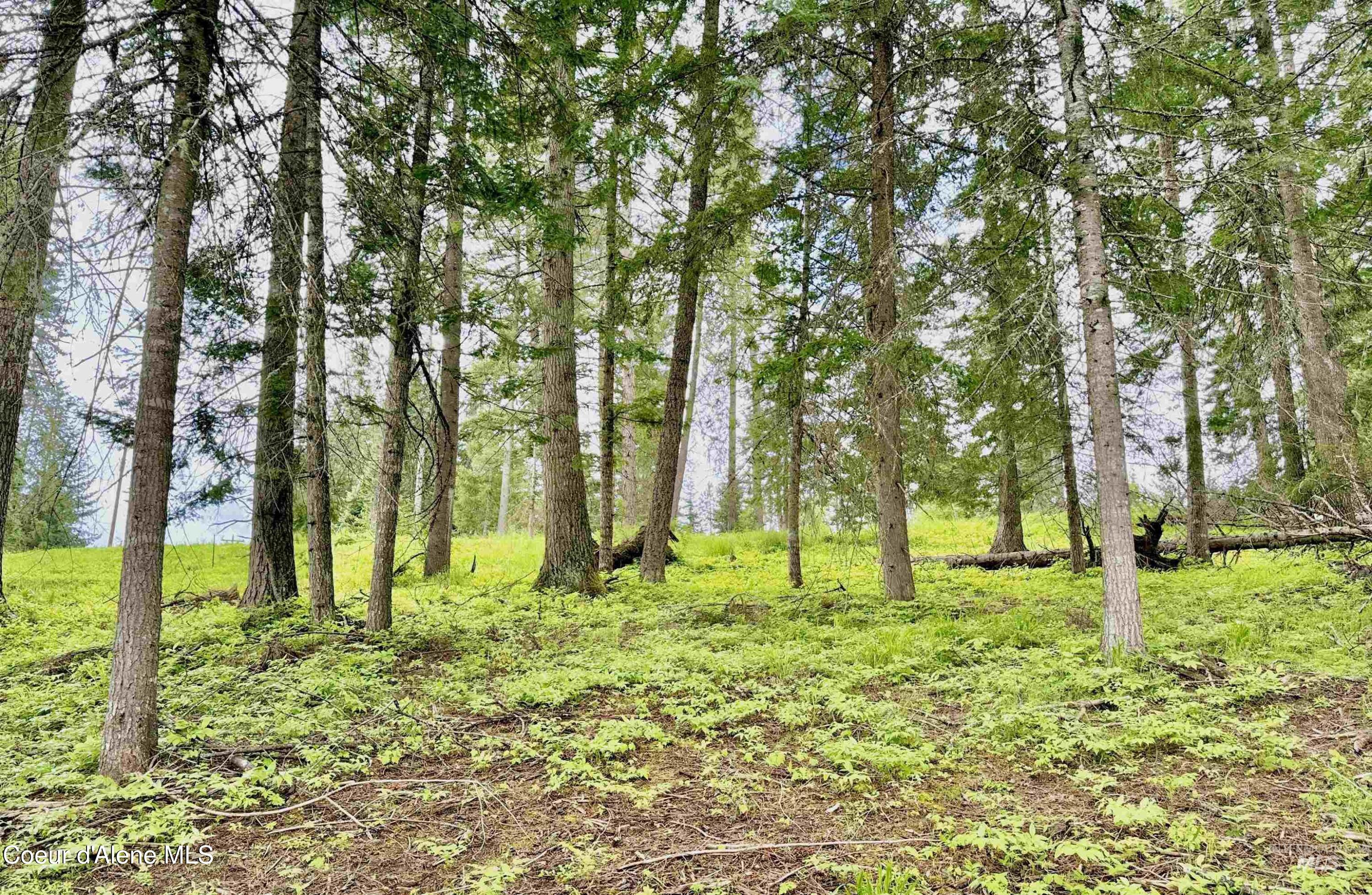 15798 North Sportsman Park Road Hayden, ID 83835 - Photo 10 of 13 -571619-ff5f9e47-37a3-4dcf-9660-010fec62
