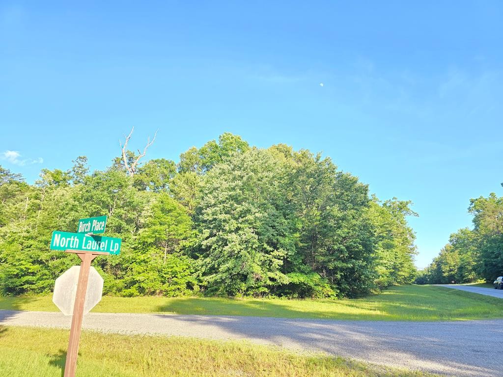 0 Laurel Loop North Monterey, TN 38574 - Photo 7 of 7