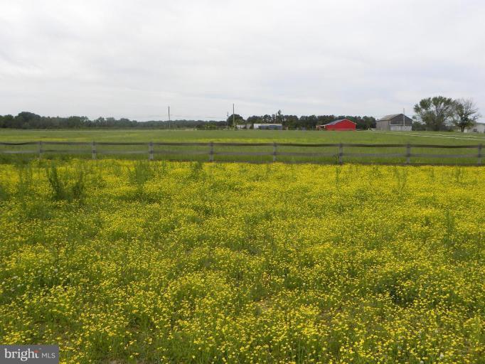 44681 Richey Road Leonardtown, MD 20650 - Photo 27 of 30 Pasture
