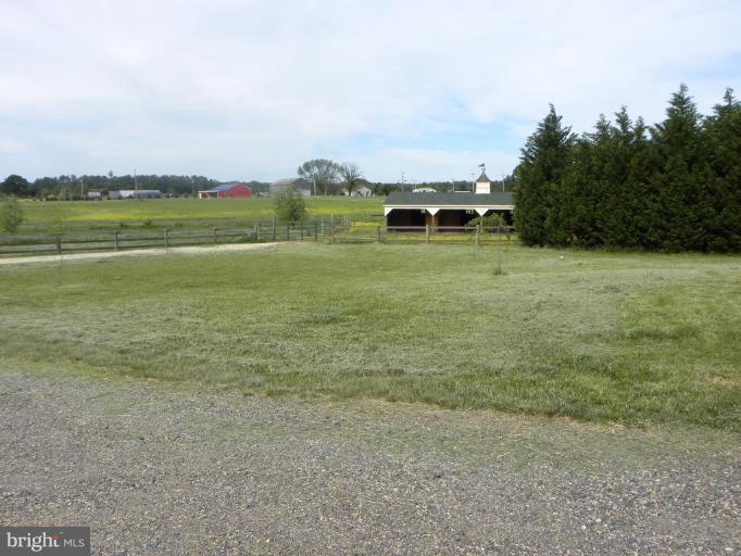 44681 Richey Road Leonardtown, MD 20650 - Photo 4 of 30 Wooded View / Acreage
