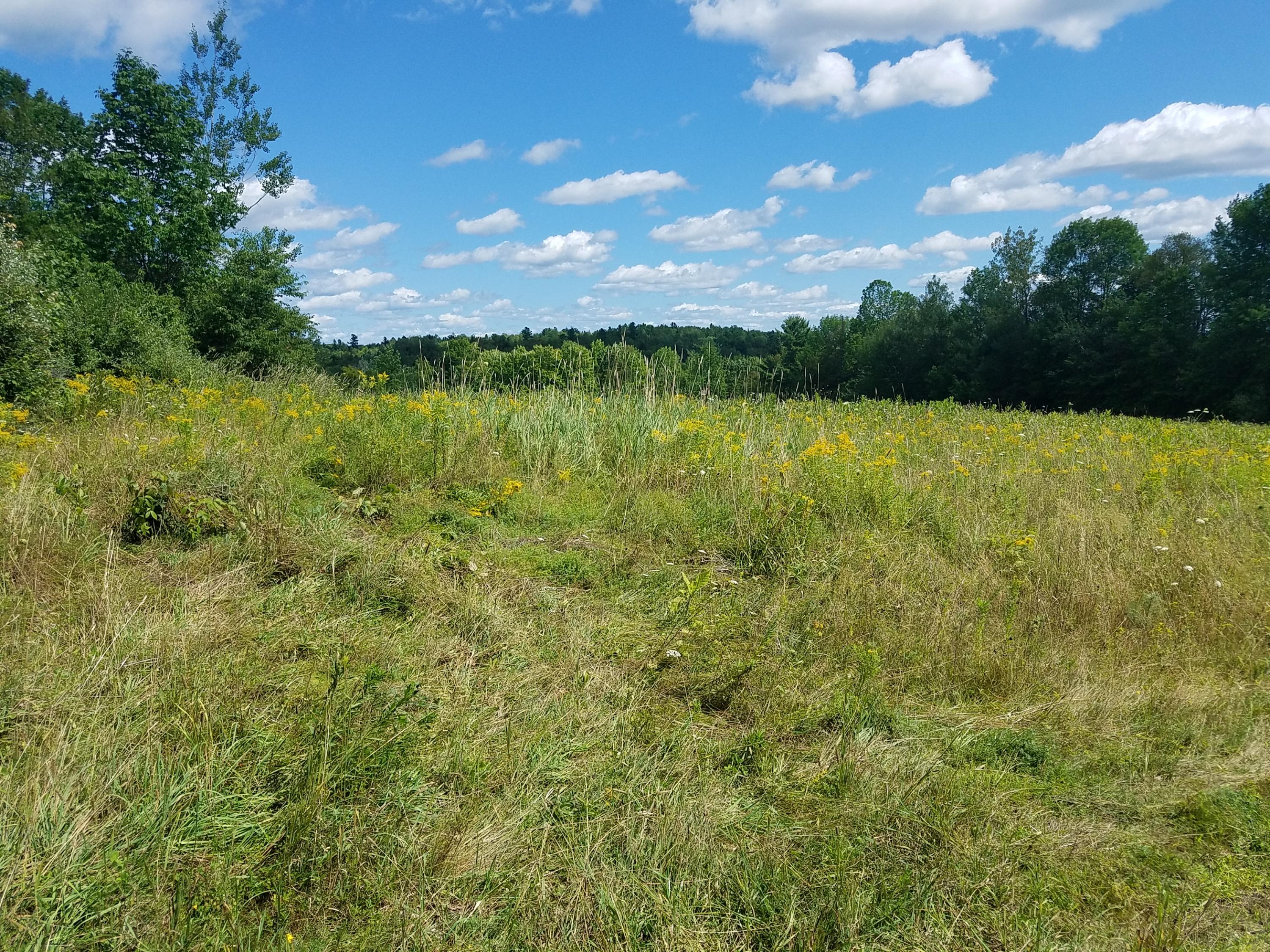 Lot 20 Holmes Road Dover-Foxcroft, ME 04426 - Photo 7 of 18 Upper Field Dover Foxcroft