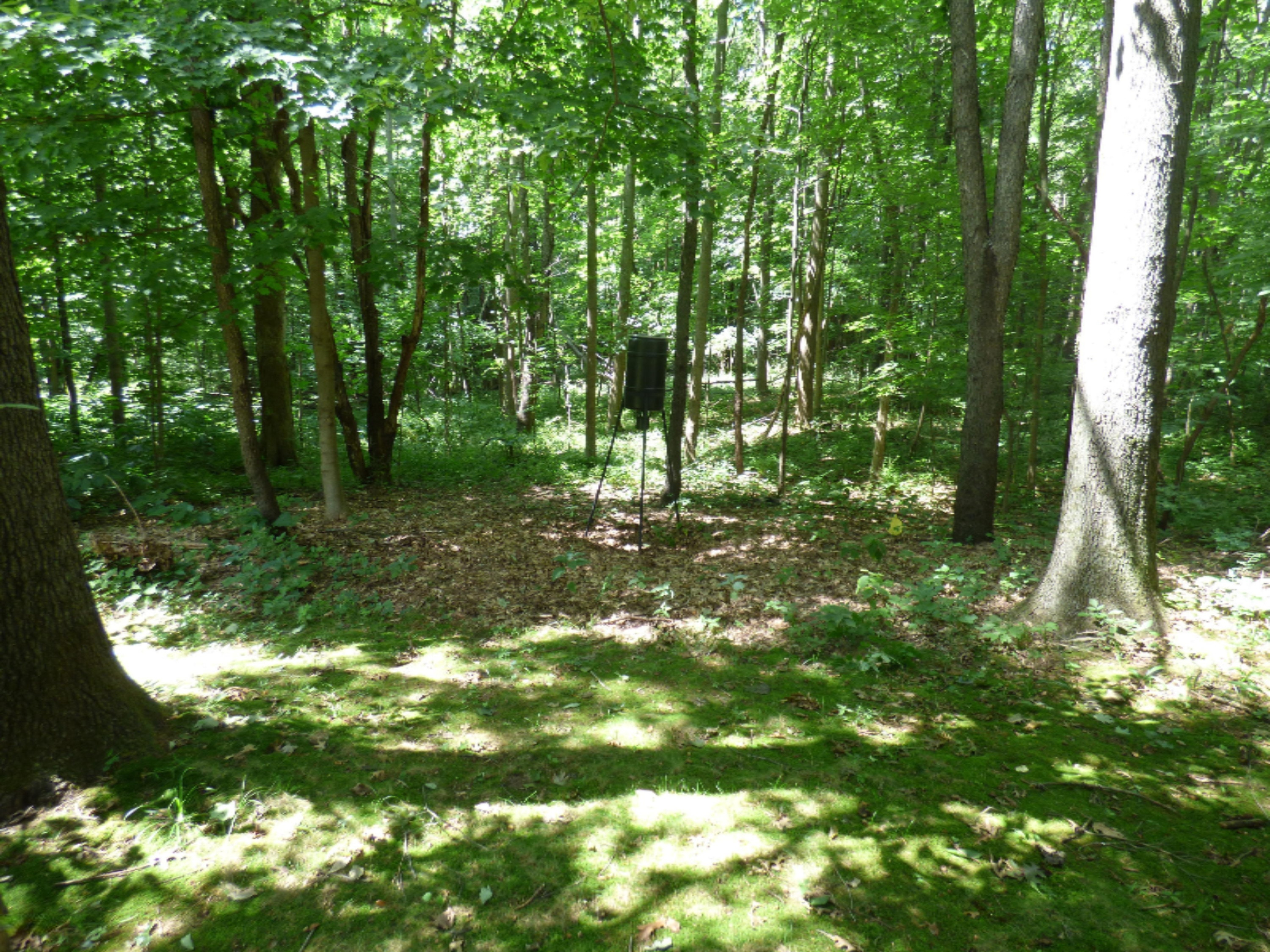 1709 Harrah Road Niles, MI 49120 - Photo 17 of 65 P1060226