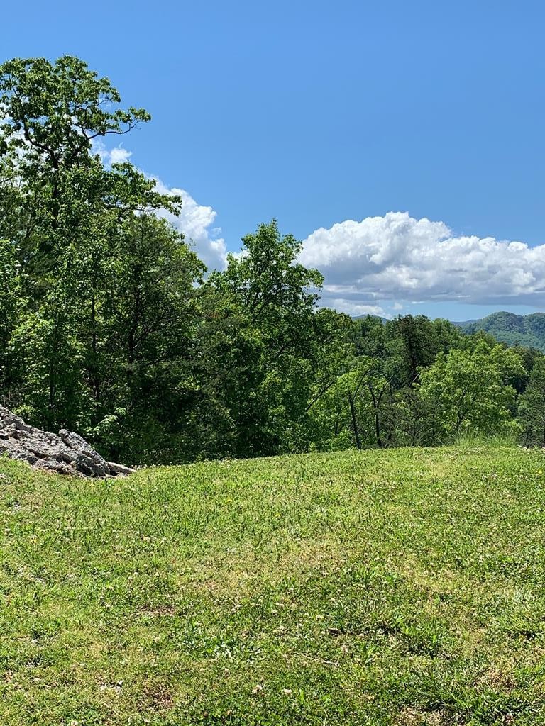 84 Redtail Road Sevierville, TN 37862 - Photo 2 of 6