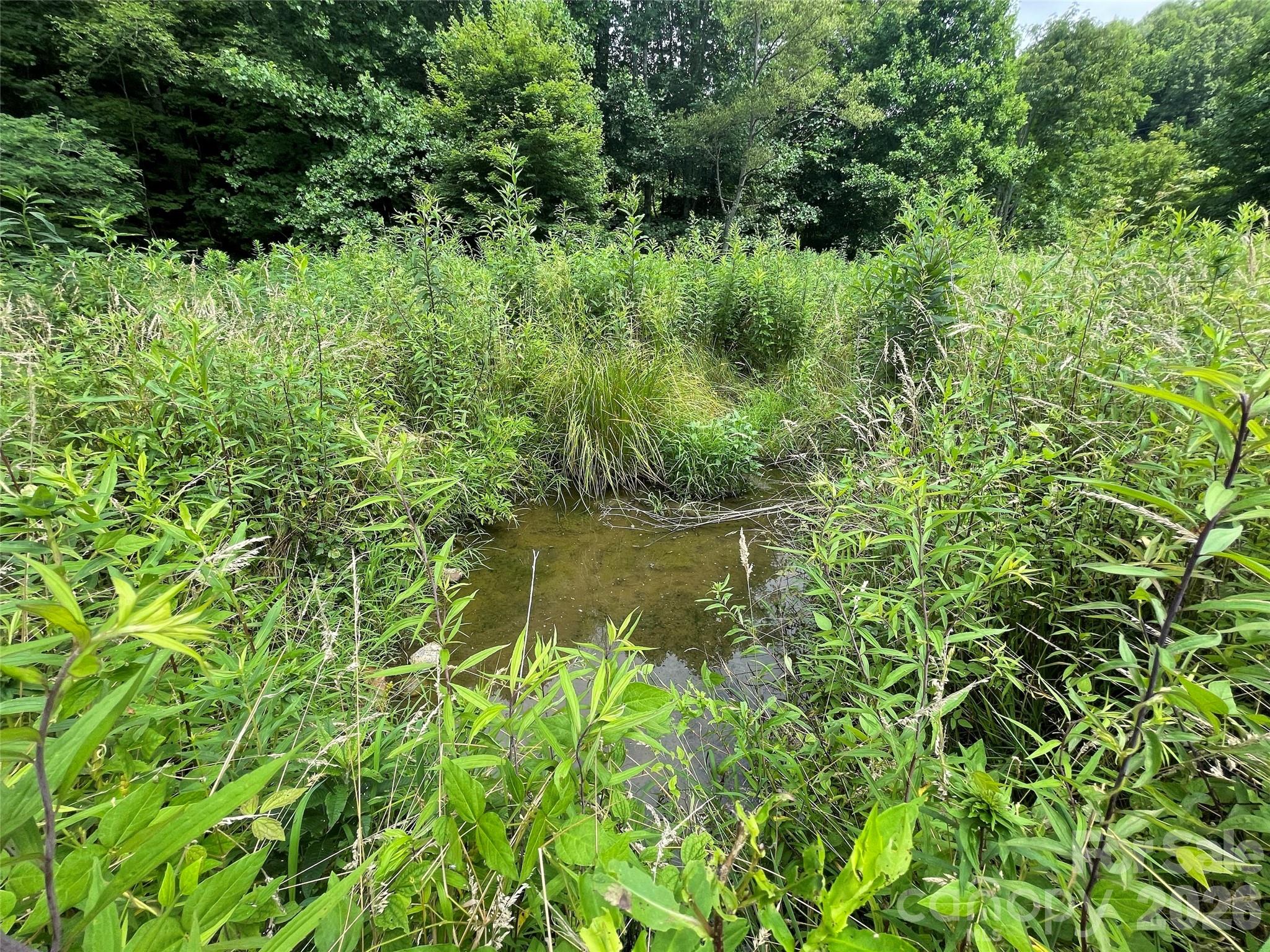 Tbd Sugar Camp Road Marshall, NC 28753 - Photo 11 of 40