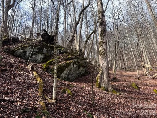 $225,000 | Tbd Sugar Camp Road, Marshall, NC 28753