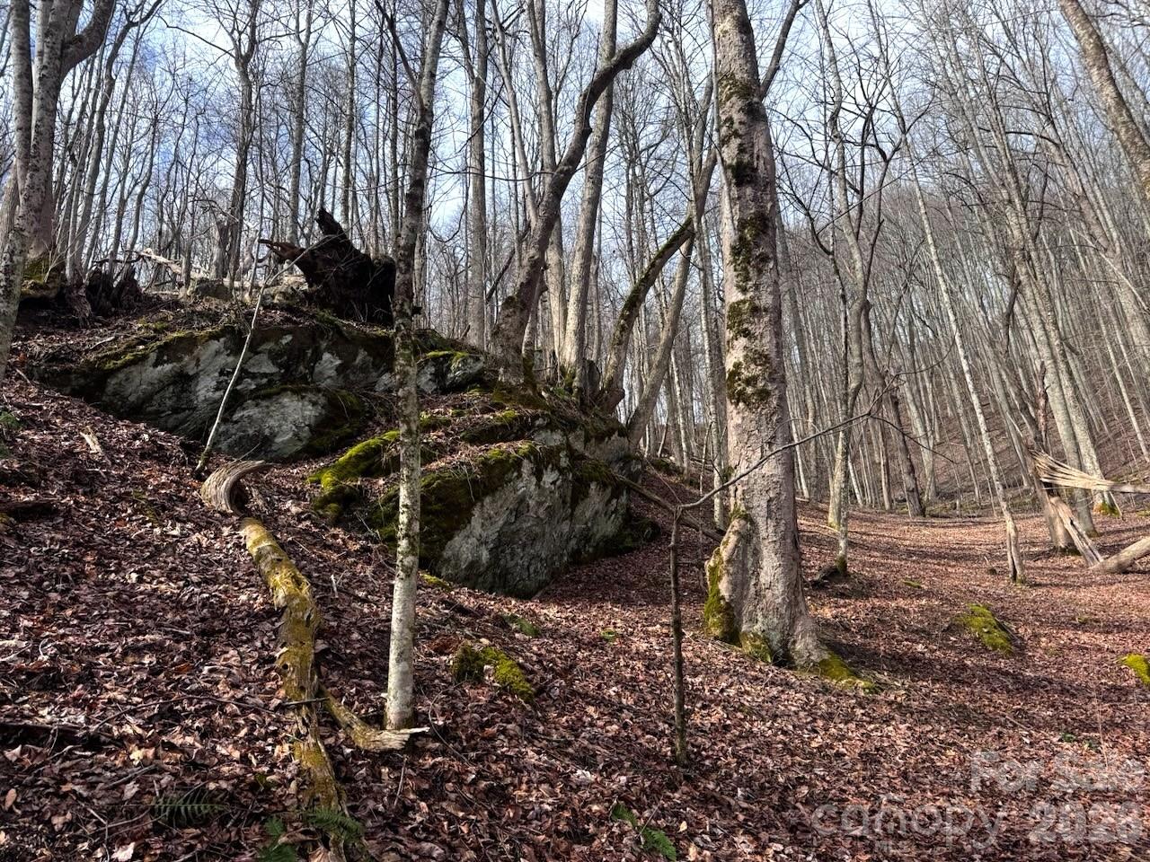 Tbd Sugar Camp Road Marshall, NC 28753 - Photo 18 of 40