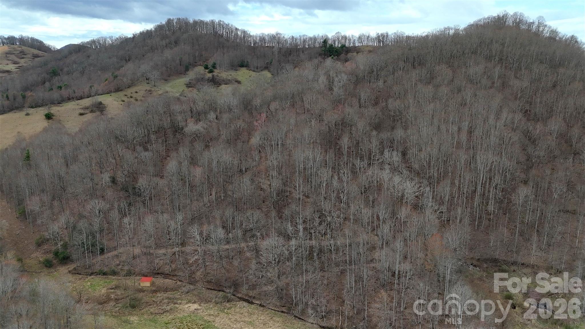 Tbd Sugar Camp Road Marshall, NC 28753 - Photo 19 of 40