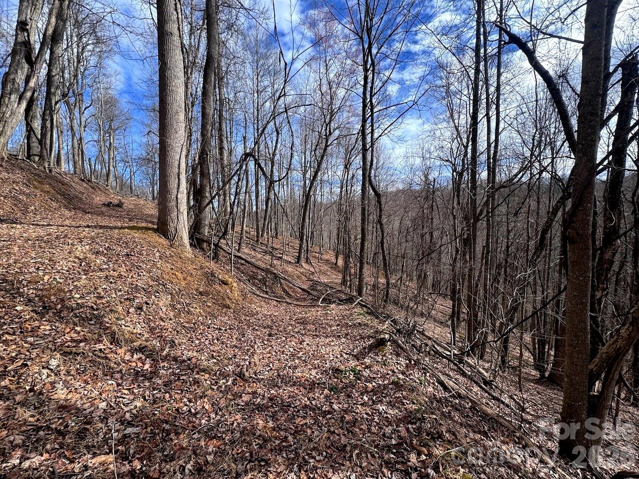 Tbd Sugar Camp Road Marshall, NC 28753 - Photo 20 of 40