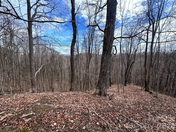 $225,000 | Tbd Sugar Camp Road, Marshall, NC 28753