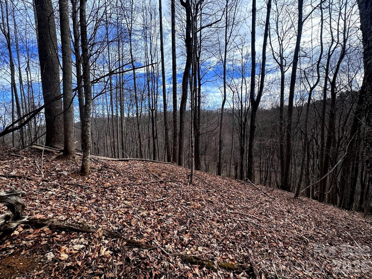 Tbd Sugar Camp Road Marshall, NC 28753 - Photo 22 of 40