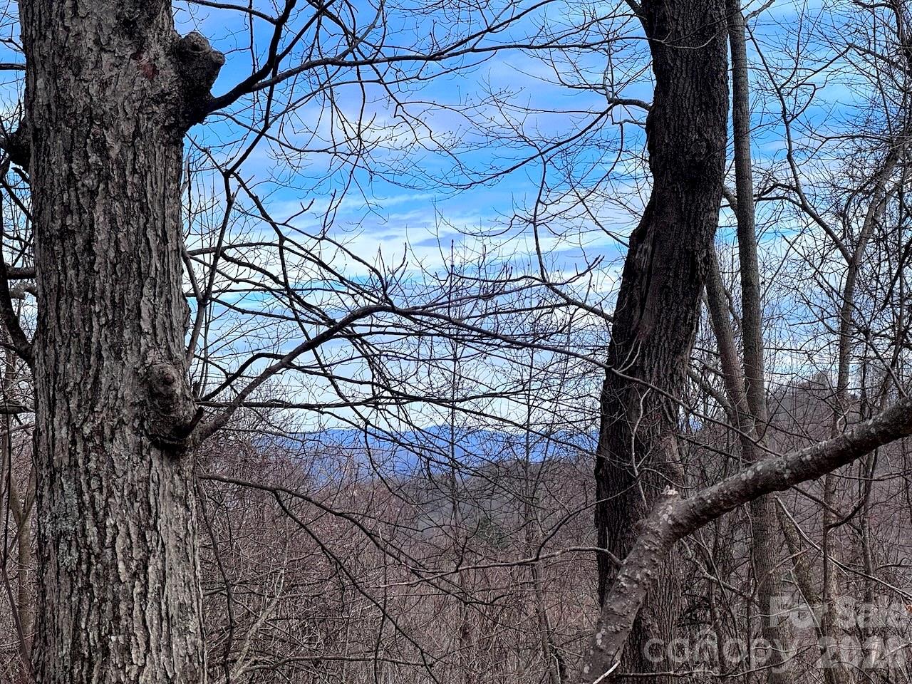 Tbd Sugar Camp Road Marshall, NC 28753 - Photo 23 of 40