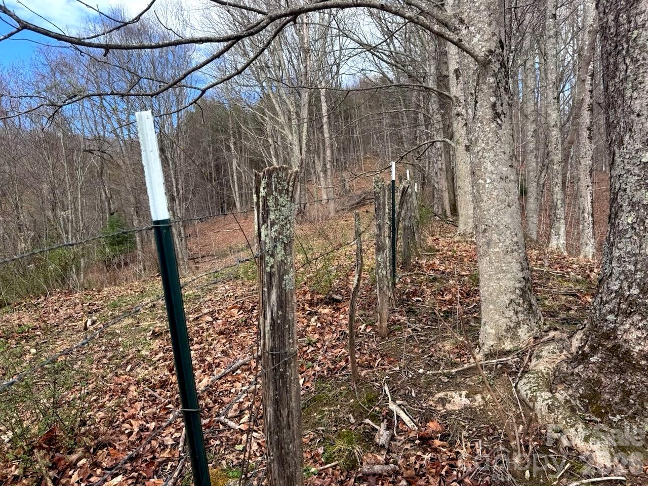 Tbd Sugar Camp Road Marshall, NC 28753 - Photo 25 of 40