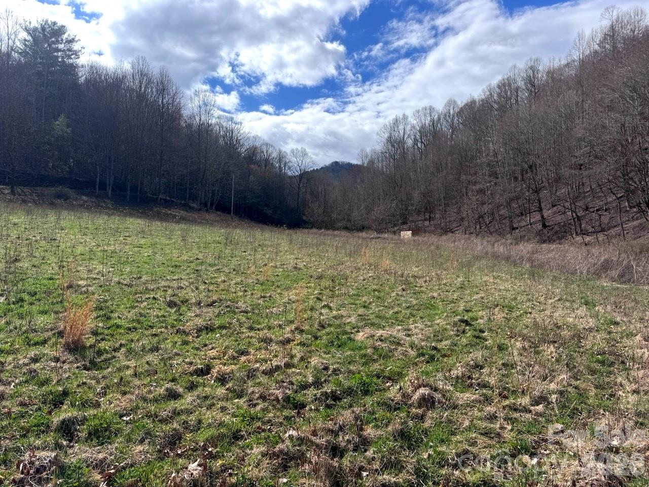 Tbd Sugar Camp Road Marshall, NC 28753 - Photo 30 of 40