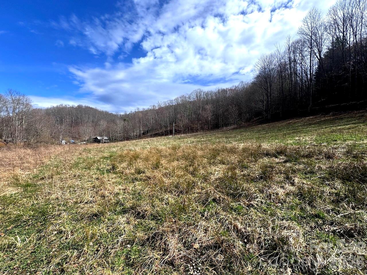 Tbd Sugar Camp Road Marshall, NC 28753 - Photo 31 of 40