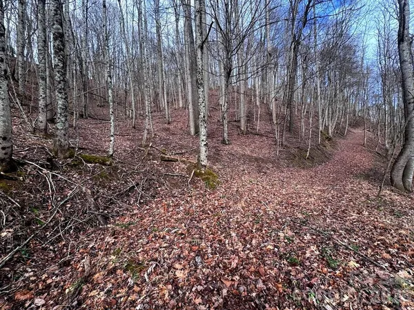 $225,000 | Tbd Sugar Camp Road, Marshall, NC 28753