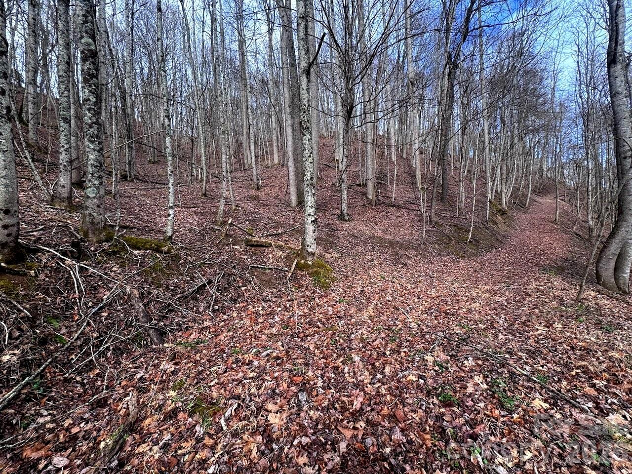 Tbd Sugar Camp Road Marshall, NC 28753 - Photo 32 of 40