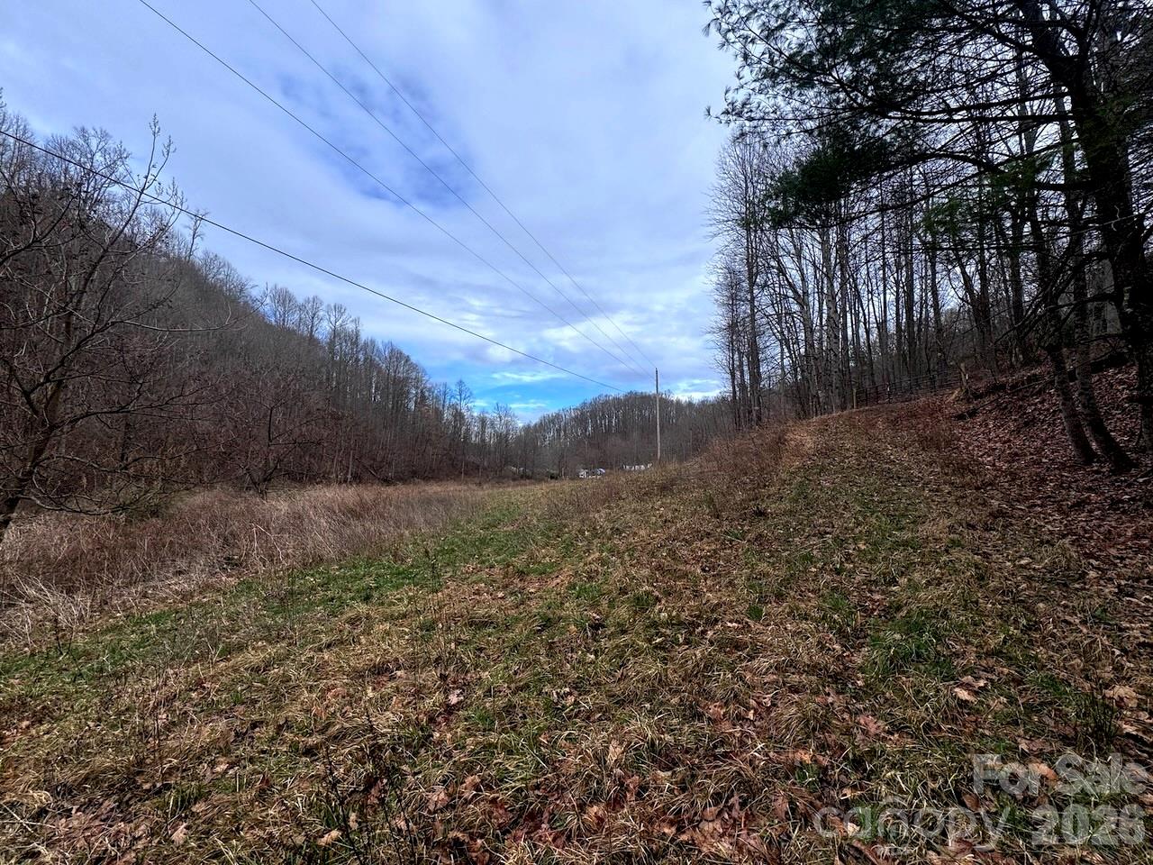 Tbd Sugar Camp Road Marshall, NC 28753 - Photo 34 of 40