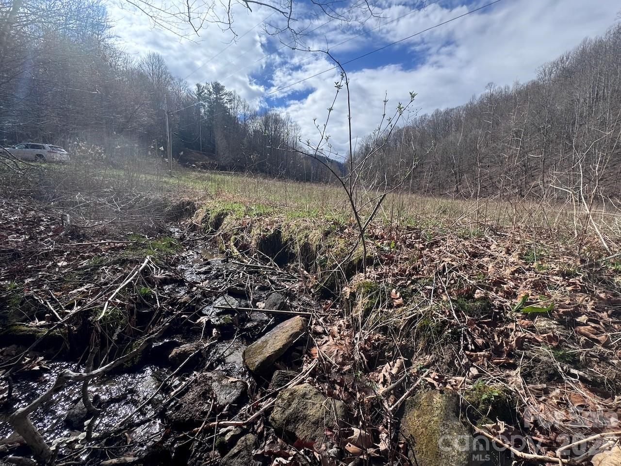 Tbd Sugar Camp Road Marshall, NC 28753 - Photo 36 of 40