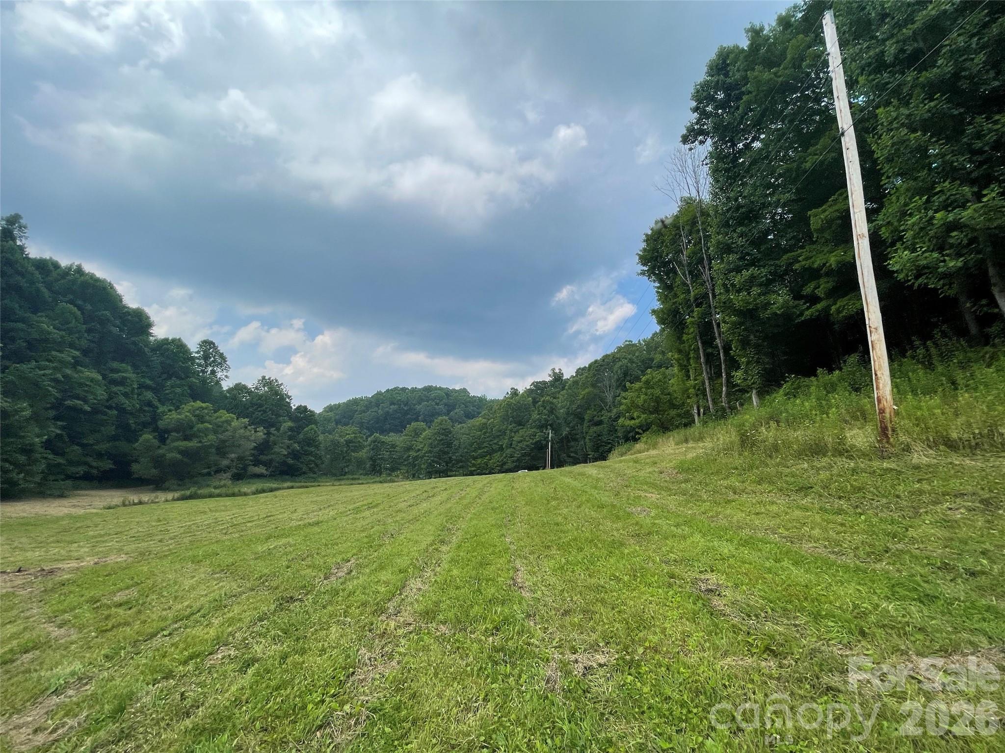 Tbd Sugar Camp Road Marshall, NC 28753 - Photo 39 of 40