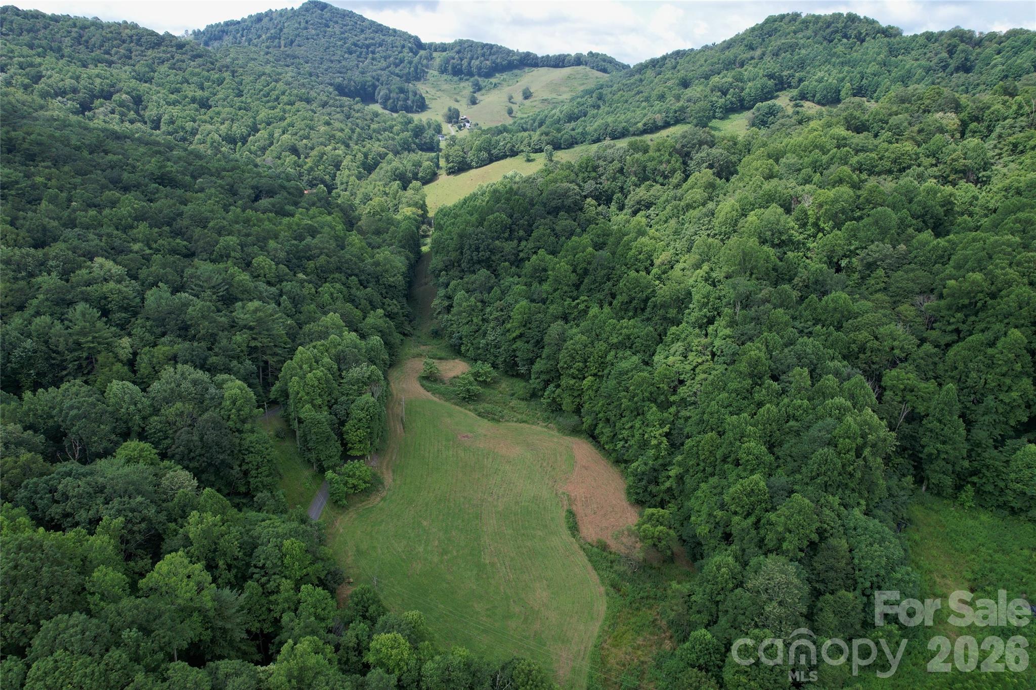 Tbd Sugar Camp Road Marshall, NC 28753 - Photo 40 of 40