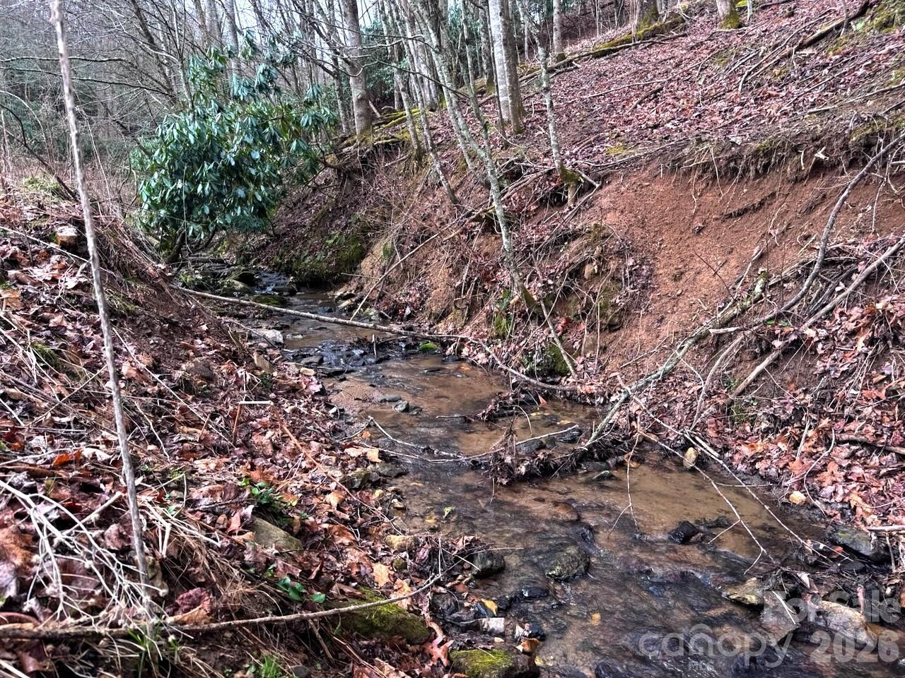 Tbd Sugar Camp Road Marshall, NC 28753 - Photo 9 of 40
