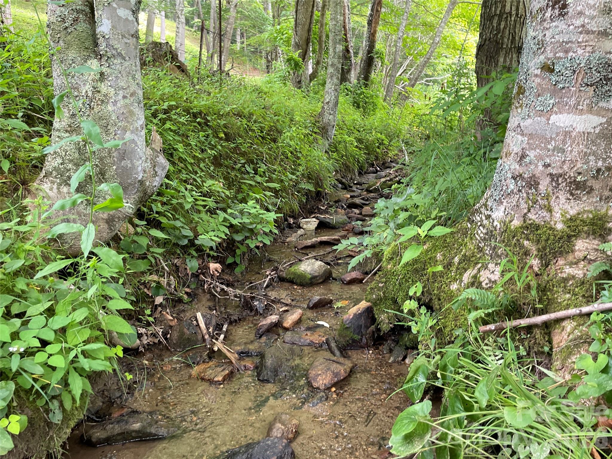 Tbd Sugar Camp Road Marshall, NC 28753 - Photo 10 of 40