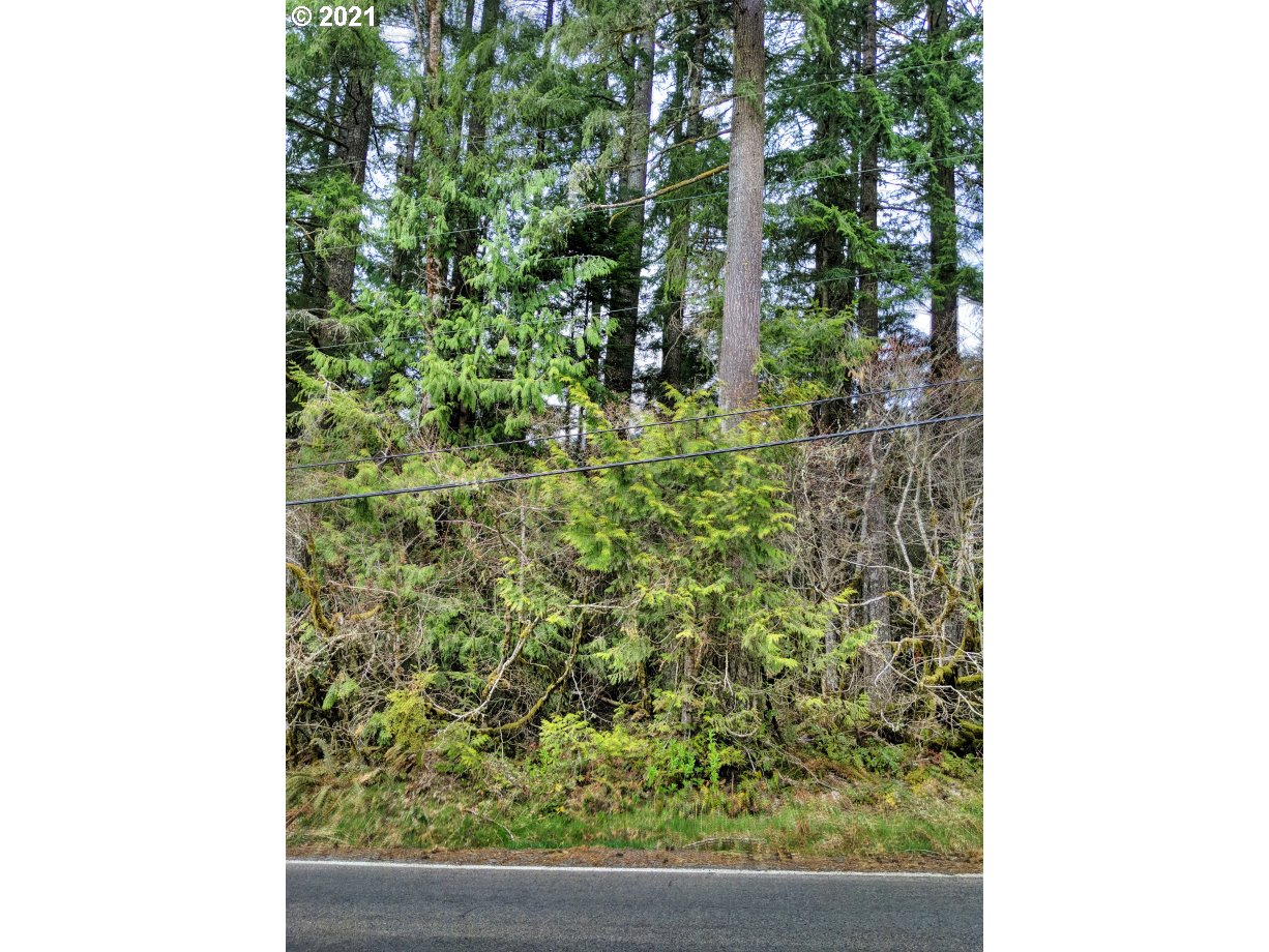 0 East Lolo Pass Road Rhododendron, OR 97049 - Photo 4 of 8 a view of a yard with plants
