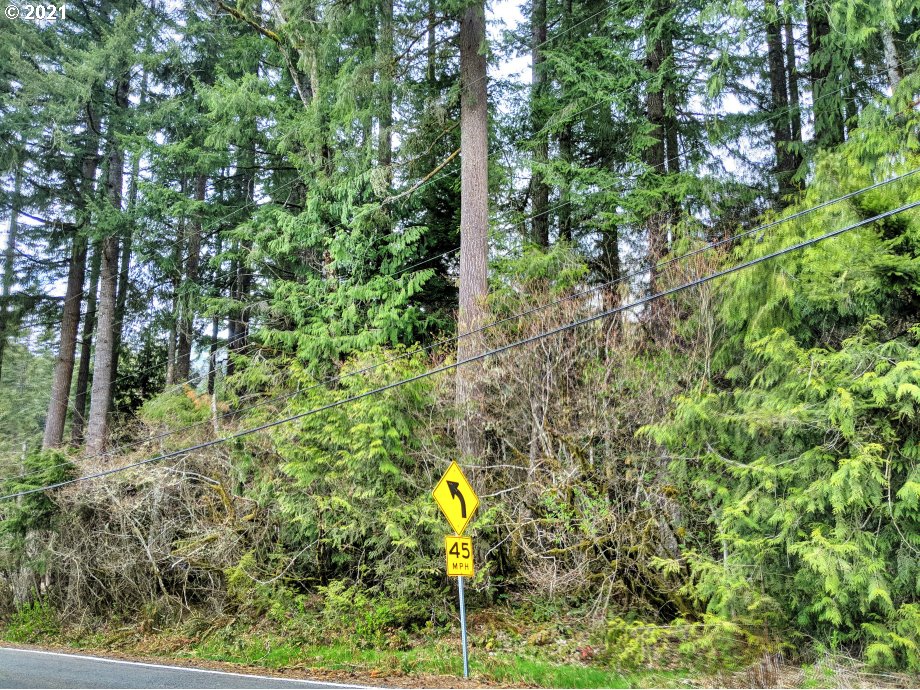 0 East Lolo Pass Road Rhododendron, OR 97049 - Photo 6 of 8 a view of swimming pool from a yard