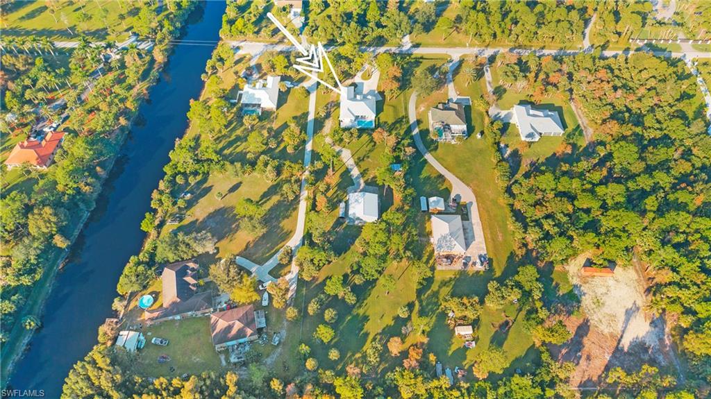 770 17th Street Southwest Naples, FL 34117 - Photo 42 of 47 a close up of a plant