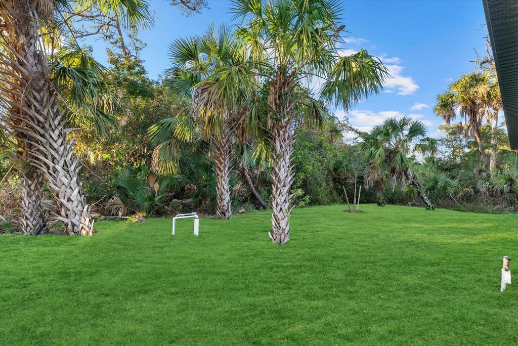 2575 Caladium Road North Port, FL 34288 - Photo 4 of 24 a backyard of a house with lots of green space