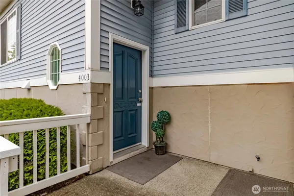 a view of backyard with potted plant