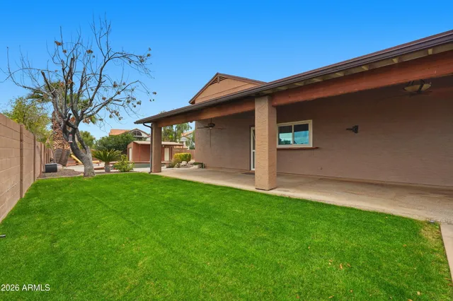 a view of a backyard with a large tree