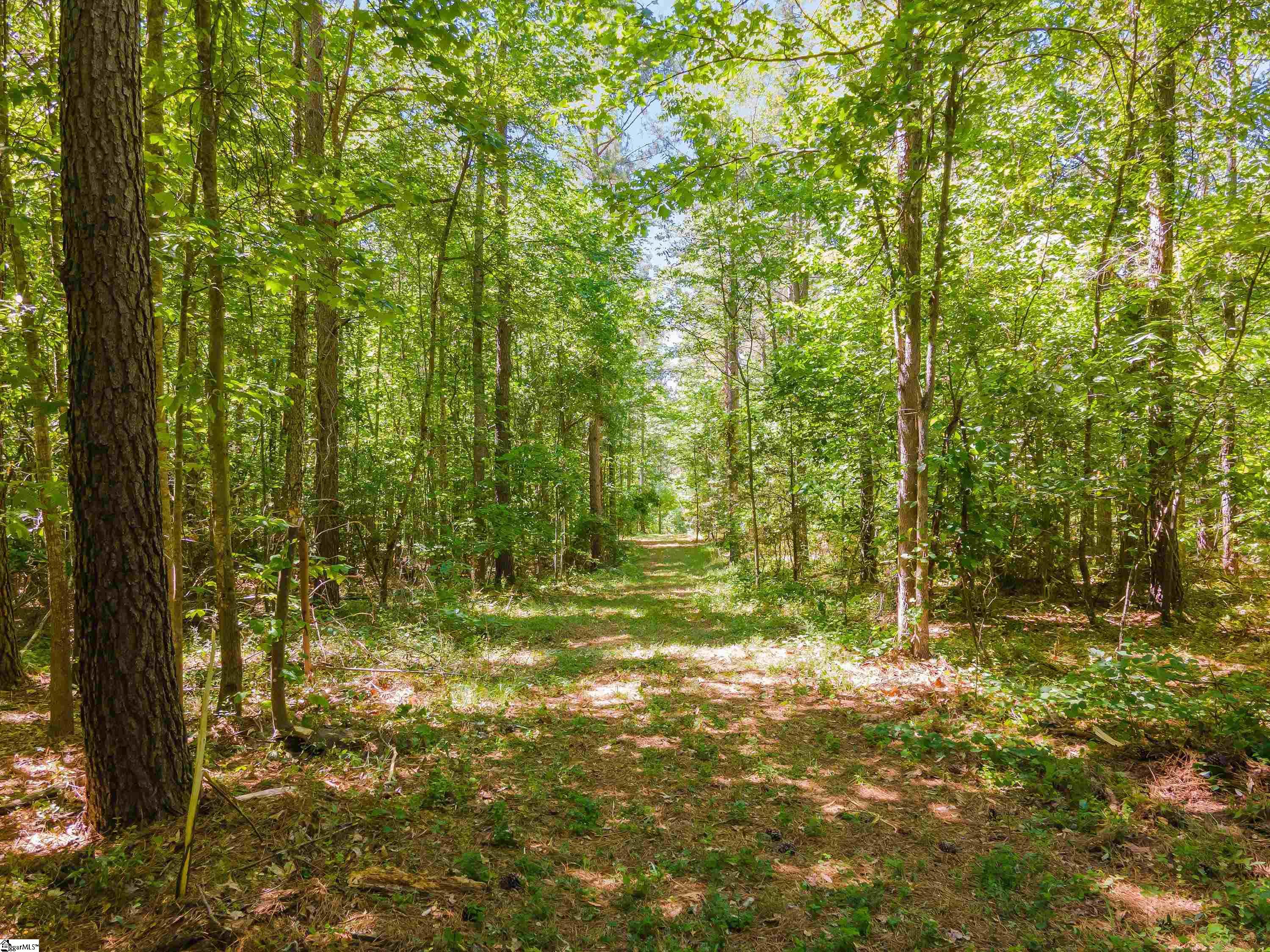 0 Cooley Bridge Road, Unit LOT 7 Belton, SC 29627 - Photo 15 of 19
