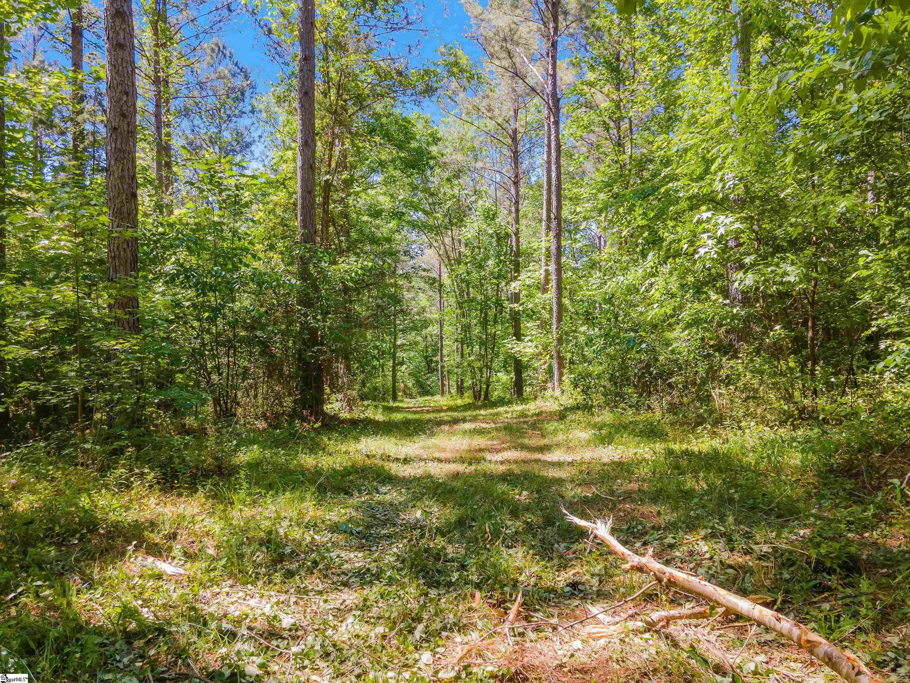 0 Cooley Bridge Road, Unit LOT 7 Belton, SC 29627 - Photo 6 of 19