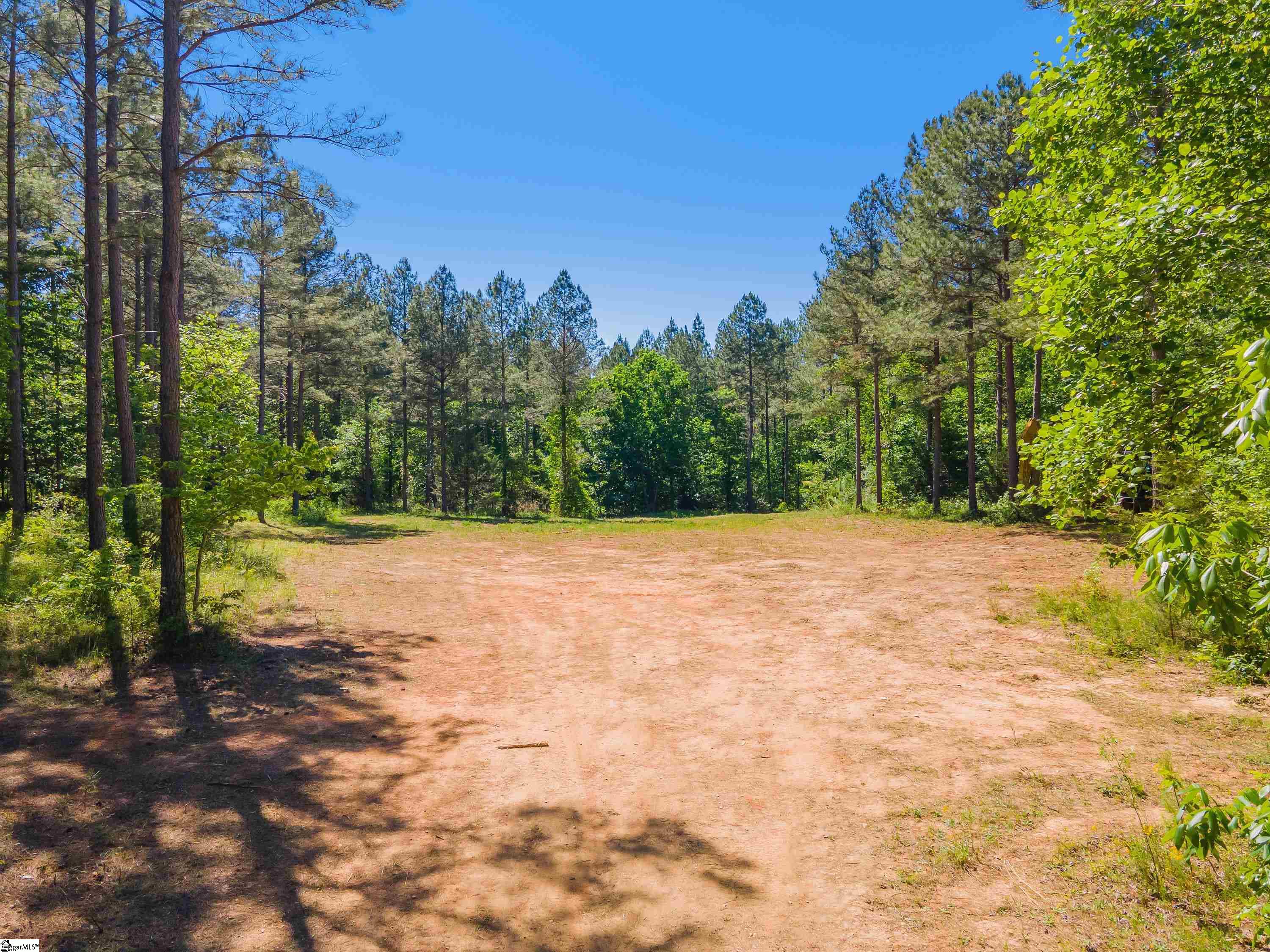 0 Cooley Bridge Road, Unit LOT 7 Belton, SC 29627 - Photo 9 of 19