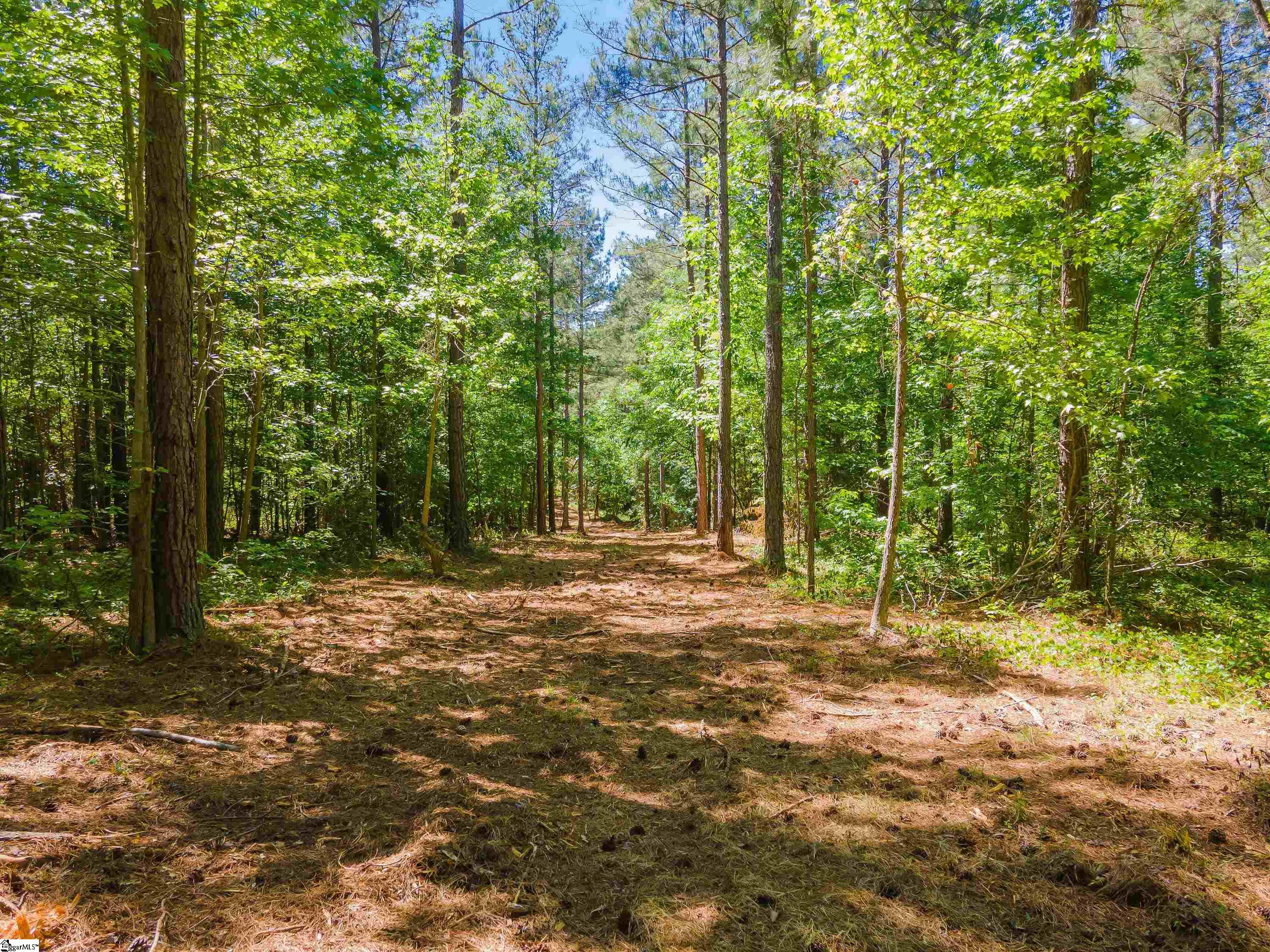 0 Cooley Bridge Road, Unit LOT 7 Belton, SC 29627 - Photo 10 of 19