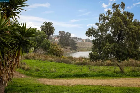 a view of a yard and palm trees