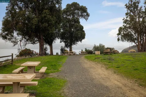 a view of a park with large trees